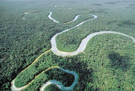 Amazonas meandroak